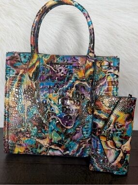 RARE SET 💙 Brahmin Caroline EUPHORIA Leather  Bag with Veronica Wallet NWT